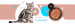 3COTY 26. Turkey and rabbit - mokré krmivo pro kočky - 6x180g - Fotogalerie 4