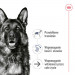 ROYAL CANIN Maxi Ageing 5+ mokré krmivo, paštika pro starší psy velkých plemen od 5 let věku. - Fotogalerie 2