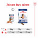 ROYAL CANIN Maxi Ageing 5+ mokré krmivo, paštika pro starší psy velkých plemen od 5 let věku. - Fotogalerie 6