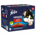 PURINA Felix Fantastic: venkovské chutě - krmivo pro kočky - 120x85g - Fotogalerie 2