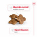 ROYAL CANIN S Mini Adult 8+ - suché krmivo pro psy - 800 g - Fotogalerie 6