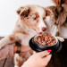 PERRO Gourmet Junior Horsemeat with zucchini - mokré krmivo pro psy - 400g - Fotogalerie 2
