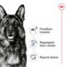 ROYAL CANIN Maxi Adult - suché krmivo pro psy - 15 kg + SHN Maxi Adult Loaf Can 410g GRATIS - Fotogalerie 3