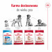 ROYAL CANIN Suché krmivo pro psy SHN Medium Adult BF 15 kg + SHN Medium Adult Loaf konzerva 410 g ZDARMA - Fotogalerie 6