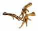 PETITTO Dried chicken feet - pamlsek pro psa - 1kg - Fotogalerie 2