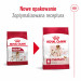 ROYAL CANIN Suché krmivo pro psy SHN Medium Adult BF 15 kg + SHN Medium Adult Loaf konzerva 410 g ZDARMA - Fotogalerie 12