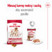ROYAL CANIN Suché krmivo pro psy SHN Medium Adult BF 15 kg + SHN Medium Adult Loaf konzerva 410 g ZDARMA - Fotogalerie 4