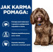 HILL'S PD B/D Brain ageing Care Chicken - suché krmivo pro psy - 12kg - Fotogalerie 4