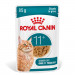 ROYAL CANIN Ageing 11+ Chunks in gravy - mokré krmivo pro kočky - 12x85g - Fotogalerie 12