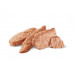 ROYAL CANIN Gastrointestinal High Fibre Loaf VHN - vlhké krmivo pro psy - 200g - Fotogalerie 3