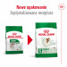 ROYAL CANIN Adult Mini S - suché krmivo pro psy - 4kg - Fotogalerie 4