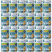 BALTICA Chutě regionů Mono Krůta s dýní - mokré krmivo pro psy - 24x400g - Fotogalerie 1