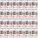 VETEXPERT Raw Paleo Adult Mono Vepřové - vlhké krmivo pro psy - 24x400g - Fotogalerie 1
