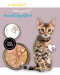 3COTY Turkey with goose For kittens - mokré krmivo pro kočky - 80g - Fotogalerie 5