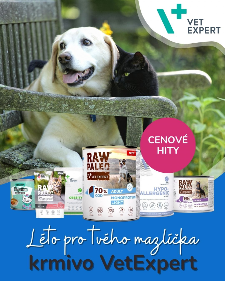 [OFERTA SPECJALNA] Lipiec
