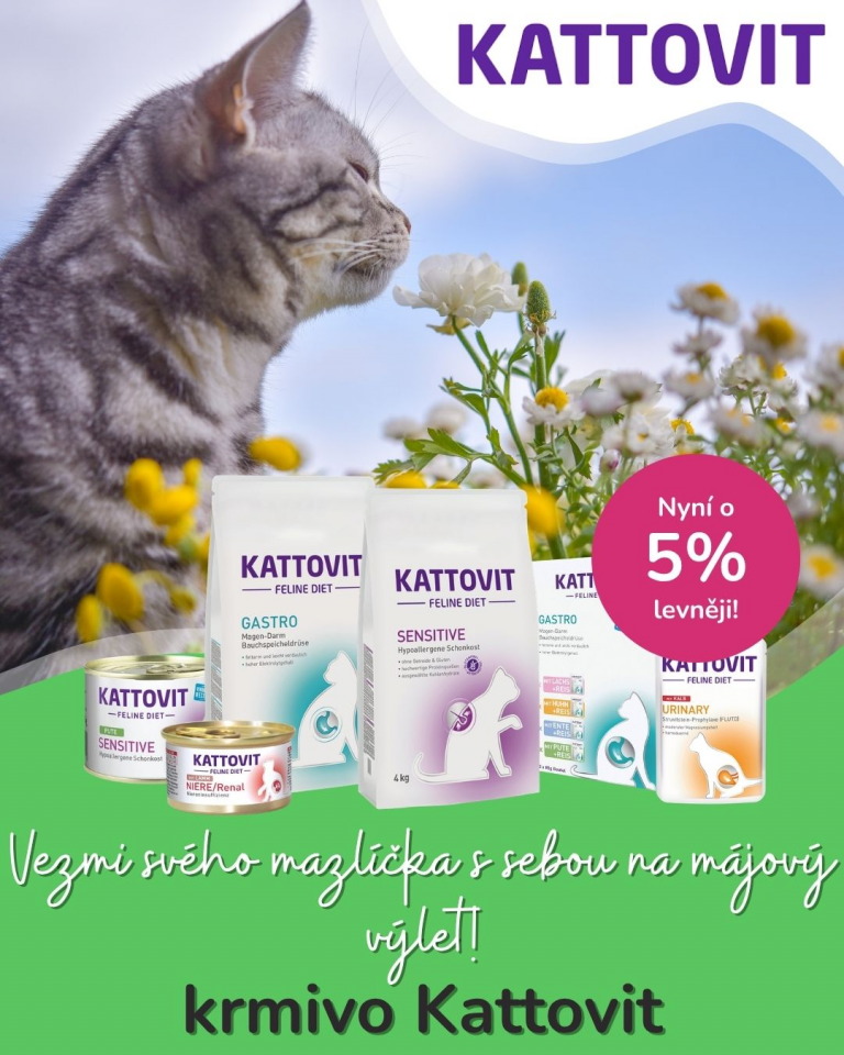 [OFERTA SPECJALNA] Majówka