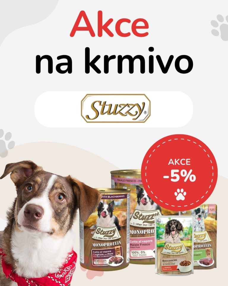 OFERTA SPECJALNA Sierpień Stuzzy
