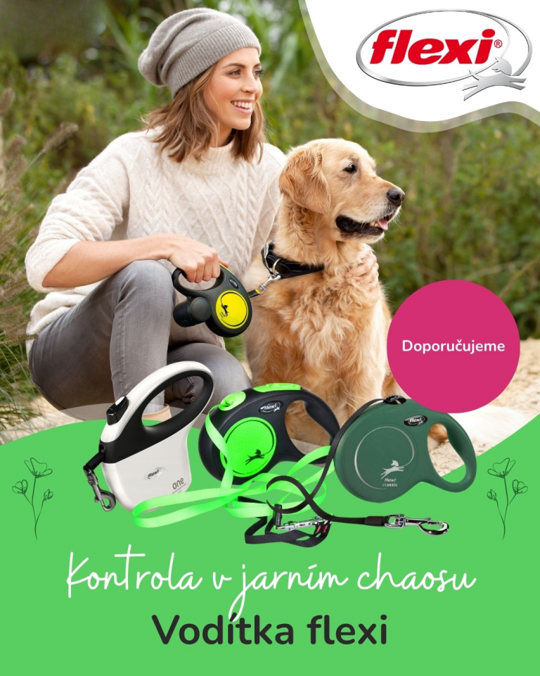 [OFERTA SPECJALNA] flexi