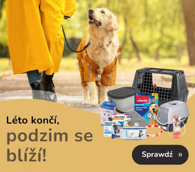 Podzim