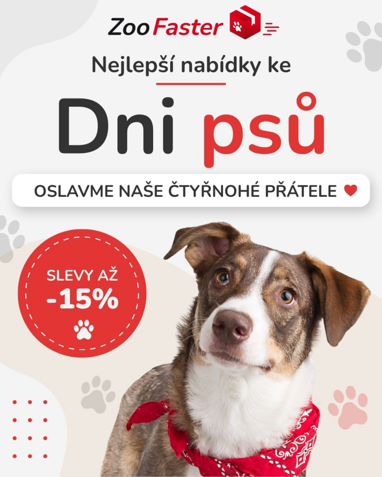 OFERTA SPECJALNA Sierpień Dzień psa 