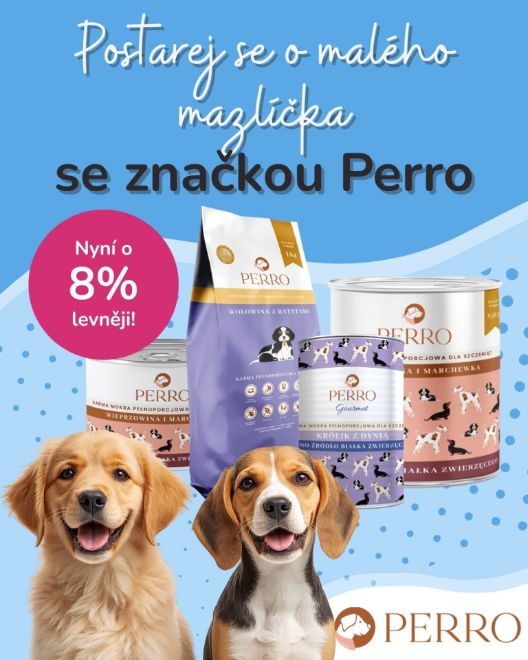 [OFERTA SPECJALNA] Dzień Dziecka Perro