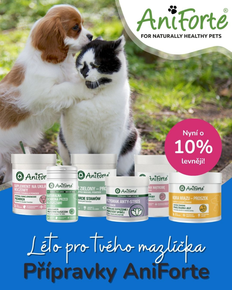 [OFERTA SPECJALNA] Lipiec