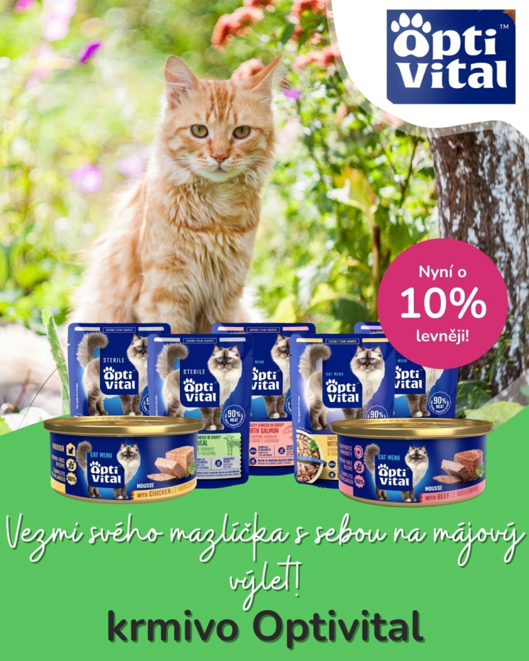 [OFERTA SPECJALNA] Majówka z pupilem