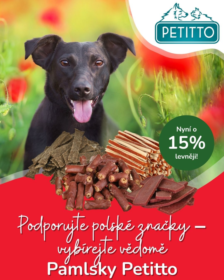[OFERTA SPECJALNA] Majówka