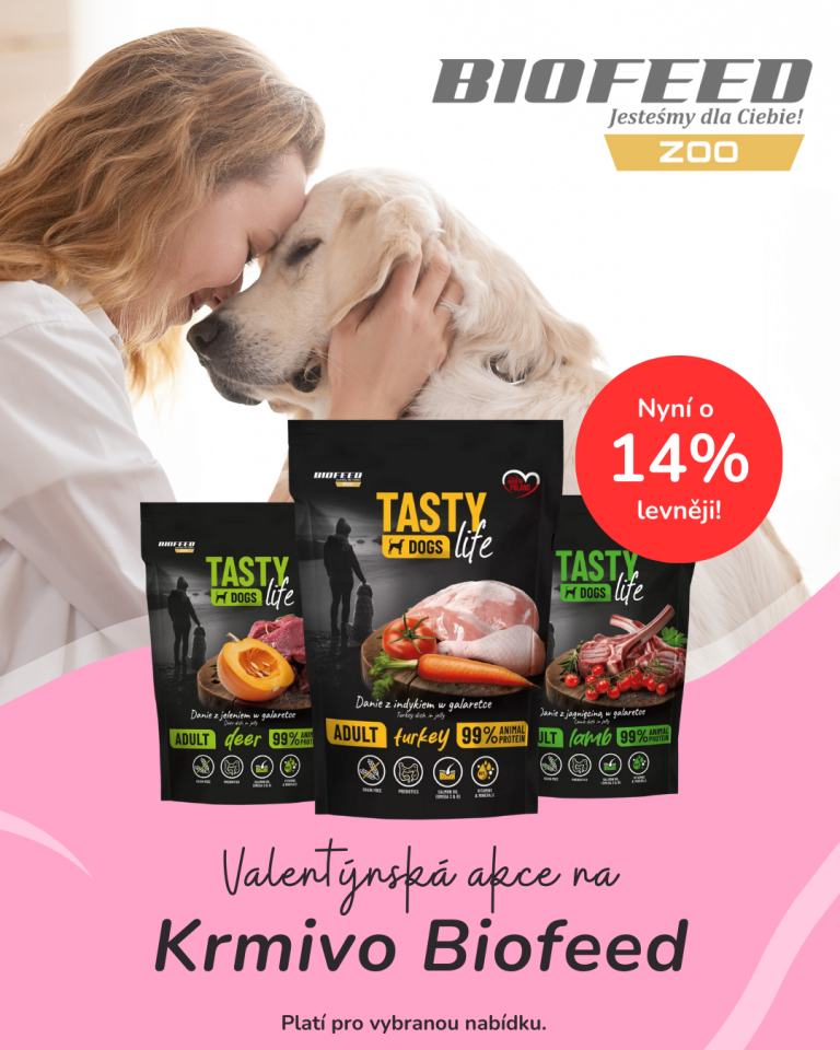 [OFERTA SPECJALNA] Luty - Biofeed