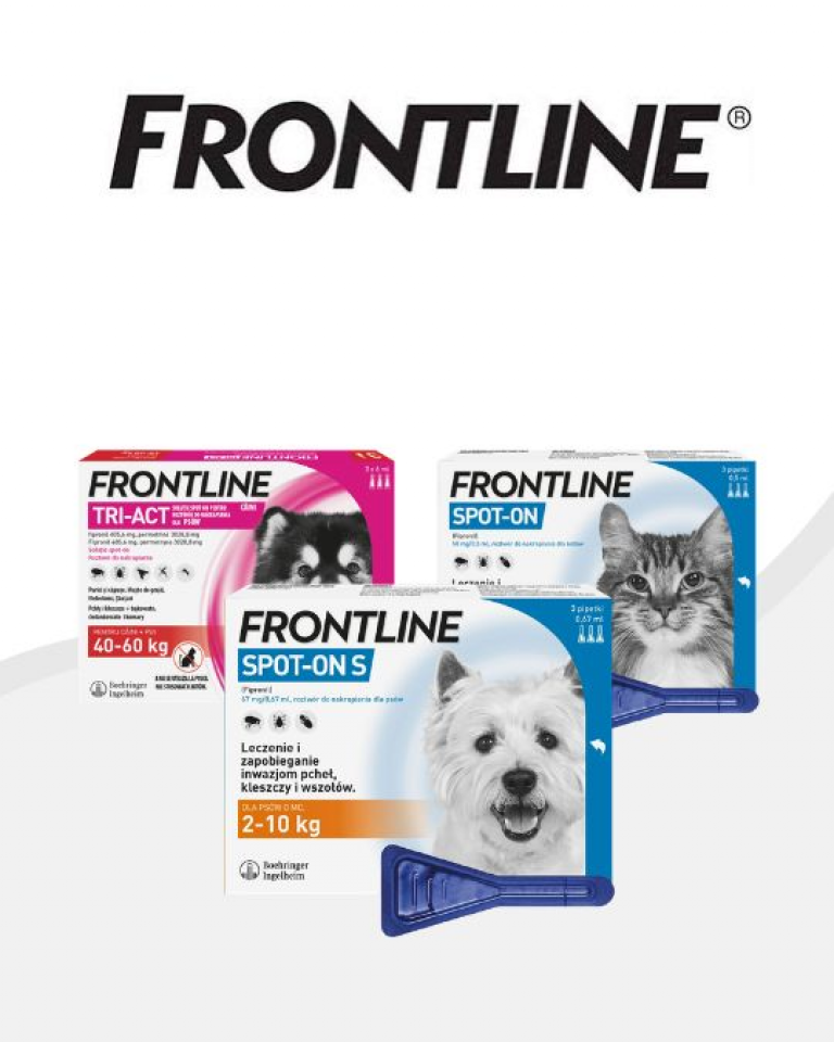 Frontline