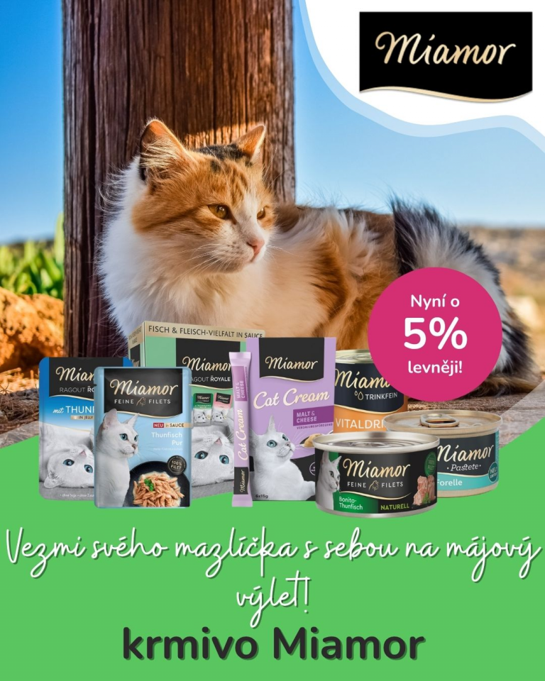 [OFERTA SPECJALNA] Majówka