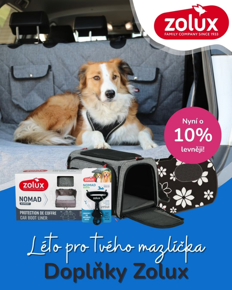[OFERTA SPECJALNA] Lipiec