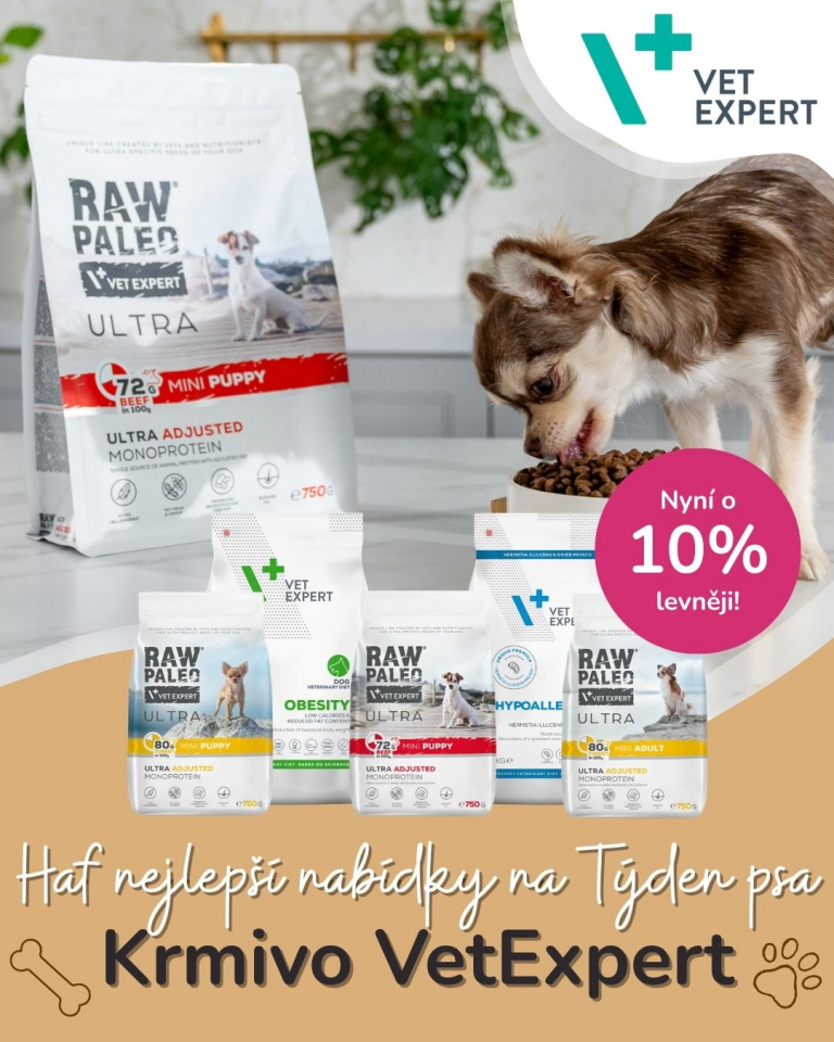 [OFERTA SPECJALNA] Czerwiec - VetExpert