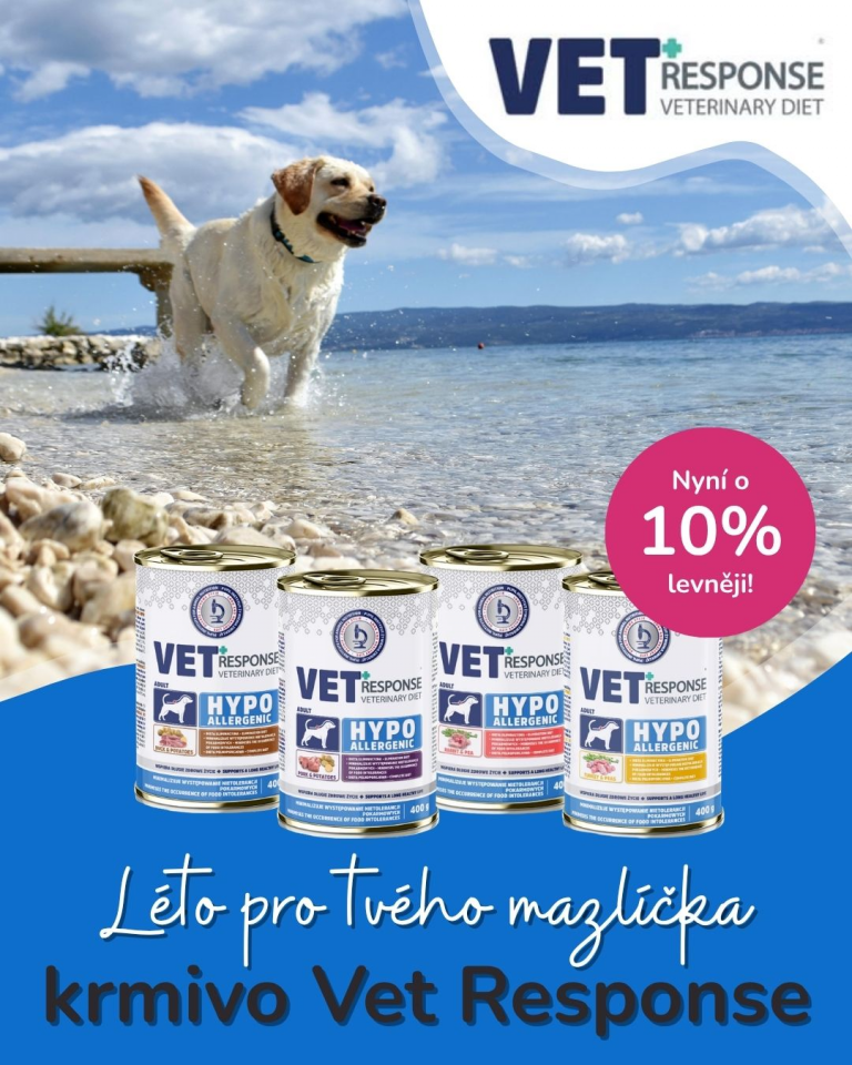 [OFERTA SPECJALNA] Lipiec