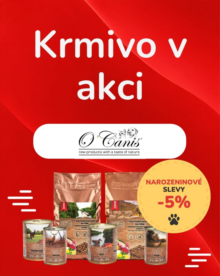 OFERTA SPECJALNA - Sierpień O'Canis