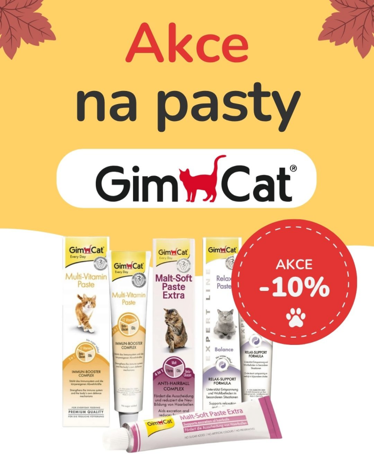 [OFERTA SPECJALNA] Wrzesień - GimCat