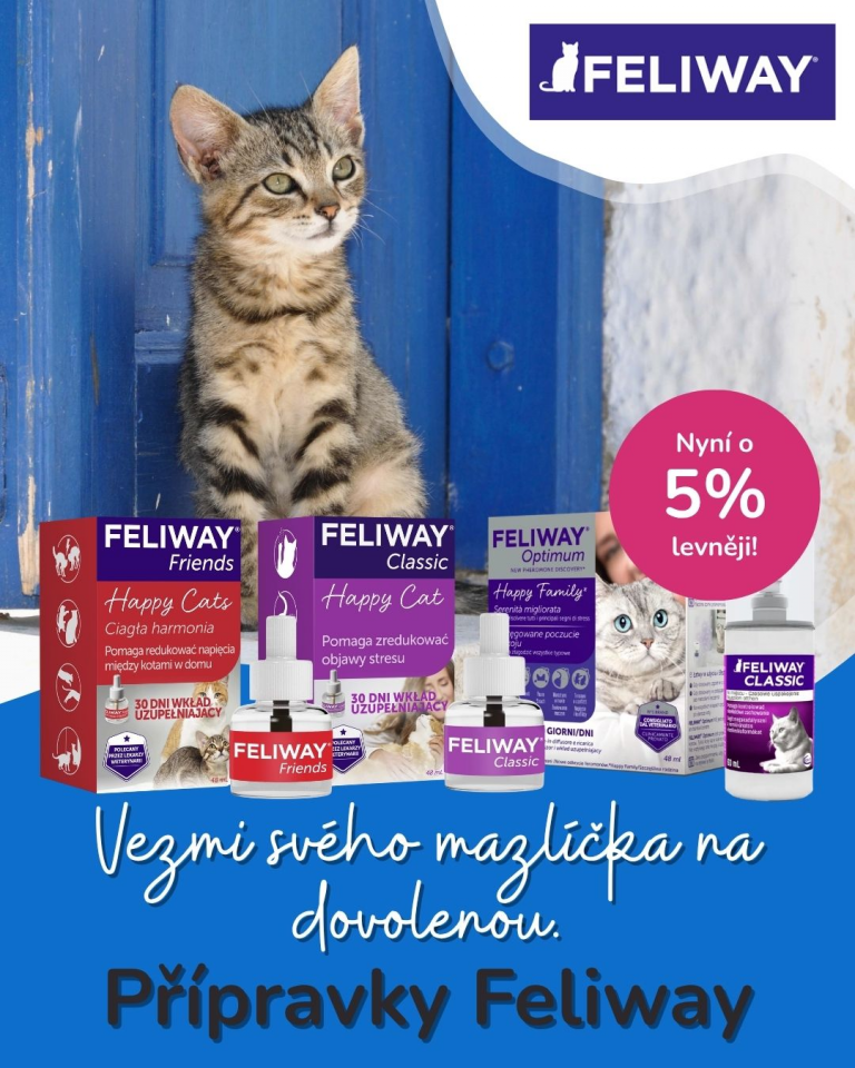 [OFERTA SPECJALNA] Czerwiec - Feliway
