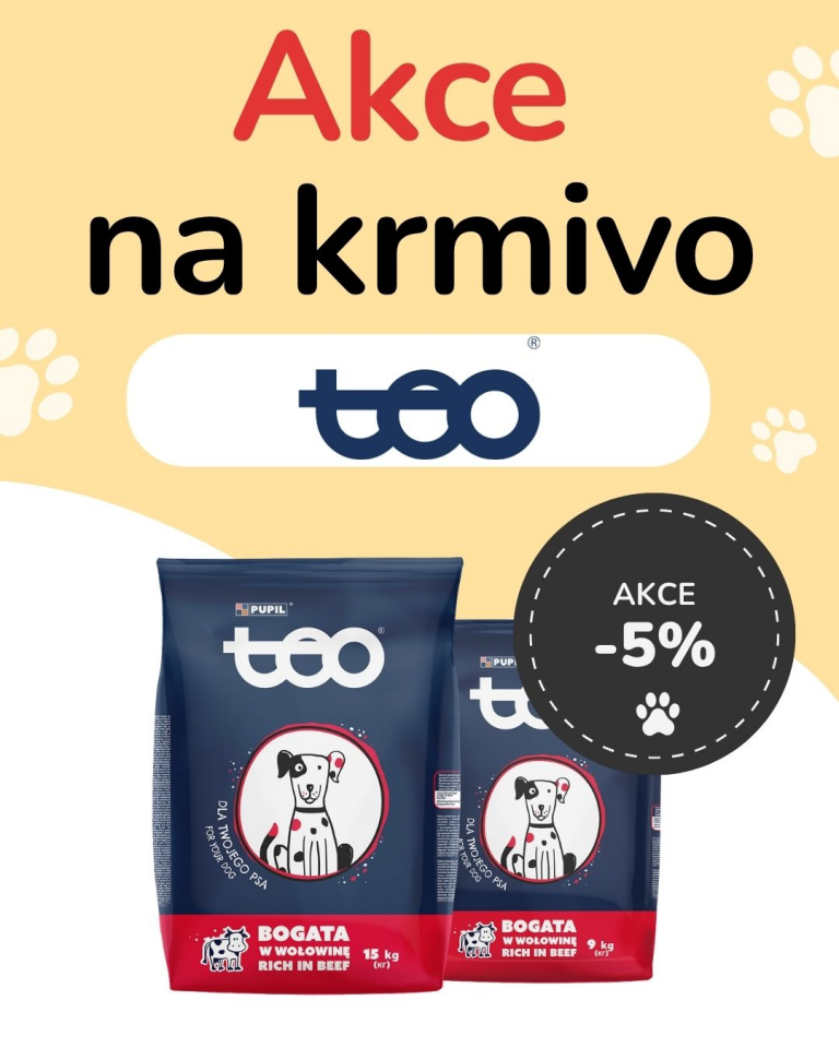 [OFERTA SPECJALNA] Październik - Teo