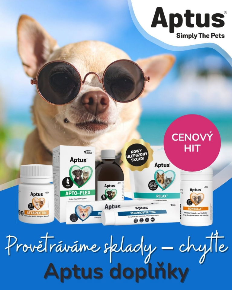 [OFERTA SPECJALNA] Lipiec letnie wyprzedaże 