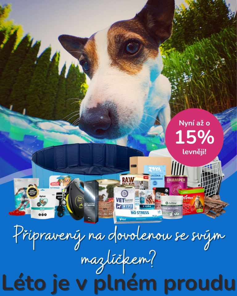 [OFERTA SPECJALNA] Lipiec lato w pełni
