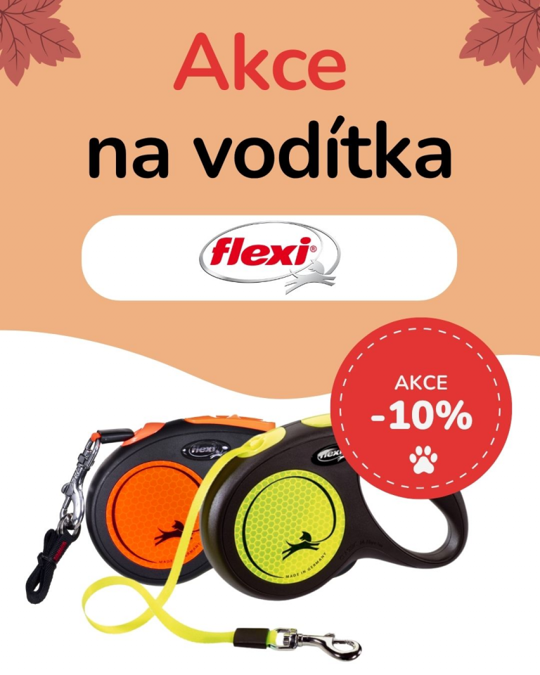 [OFERTA SPECJALNA] Październik - flexi
