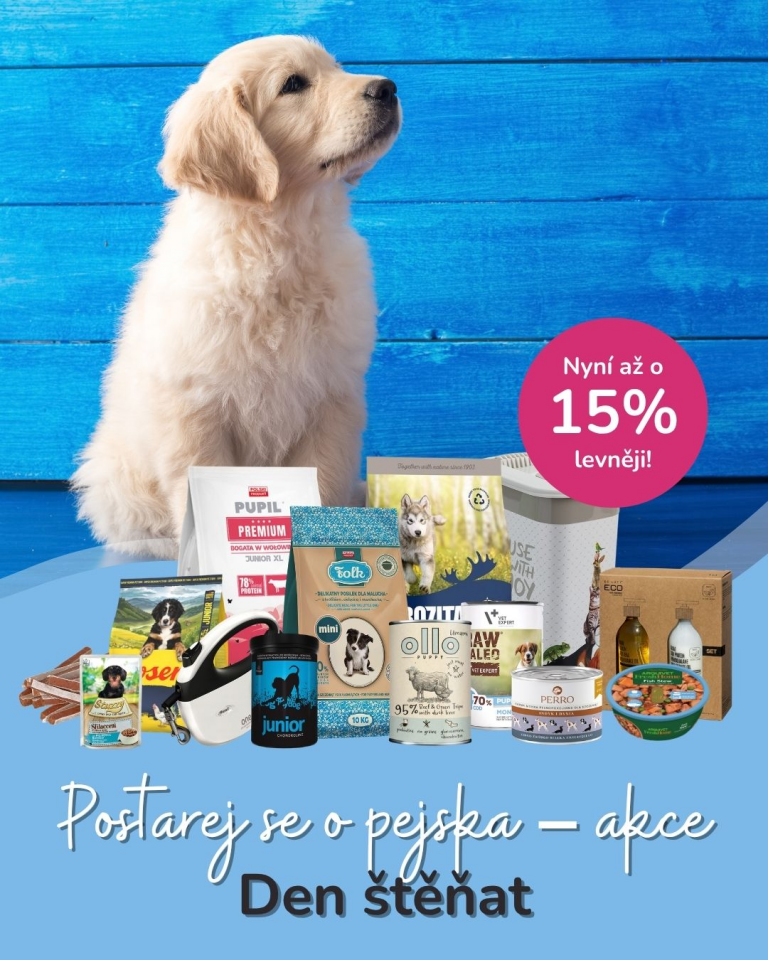 [OFERTA SPECJALNA] Dzień szczeniąt