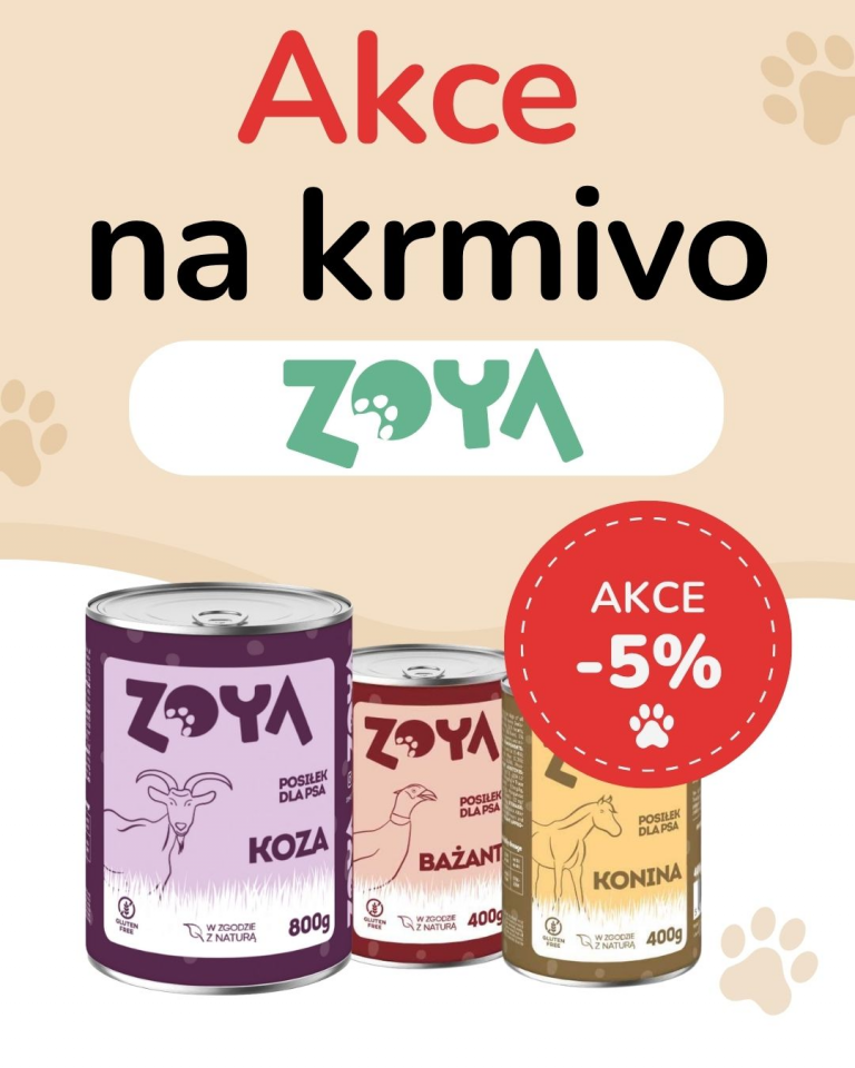 [OFERTA SPECJALNA] PAŹDZIERNIK - Zoya