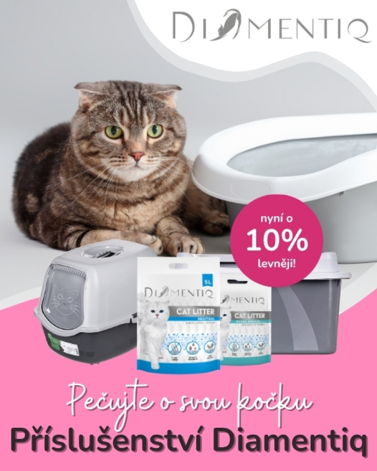 [OFERTA SPECJALNA] Lipiec - Diamentiq