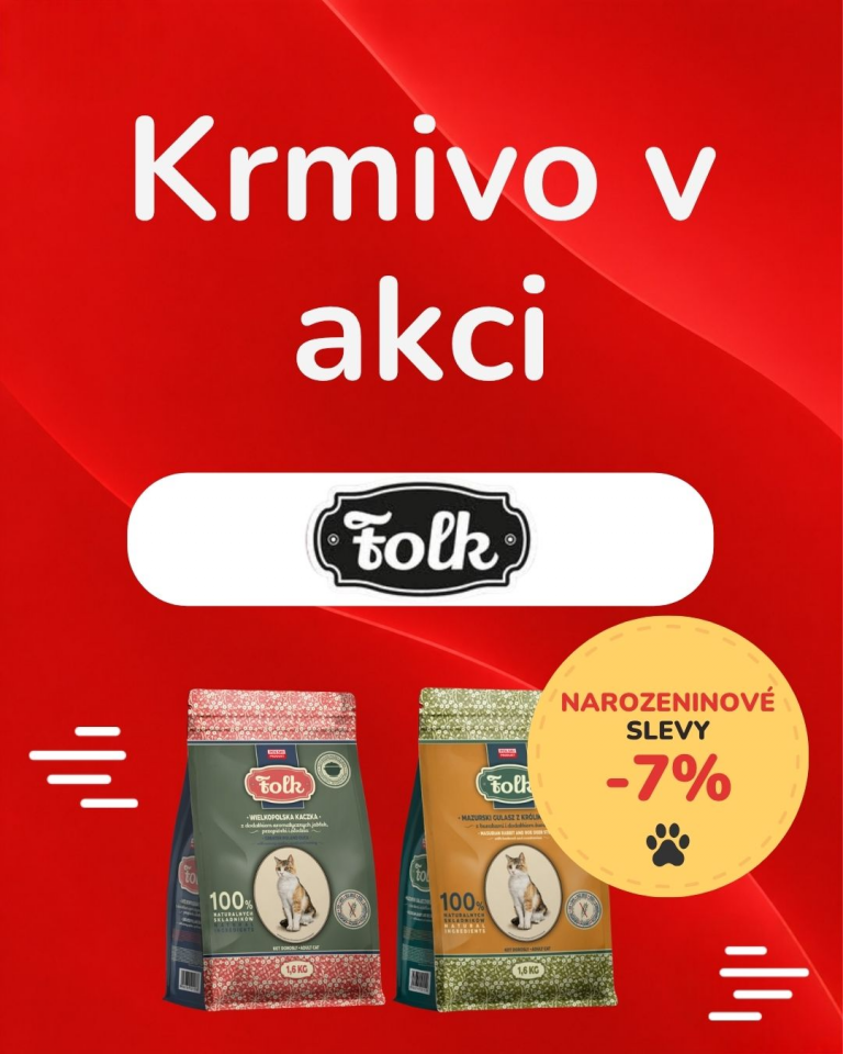 OFERTA SPECJALNA Sierpień Folk