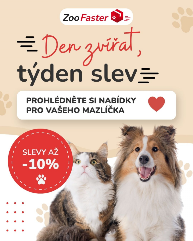 [OFERTA SPECJALNA] PAŹDZIERNIK - Dzień zwierząt