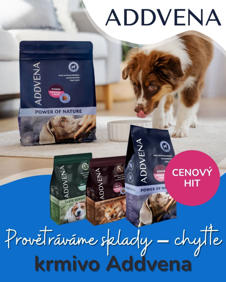 [OFERTA SPECJALNA] Lipiec letnie wyprzedaże 