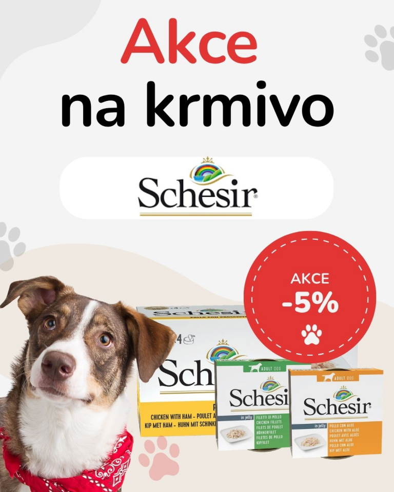 OFERTA SPECJALNA Sierpień Schesir