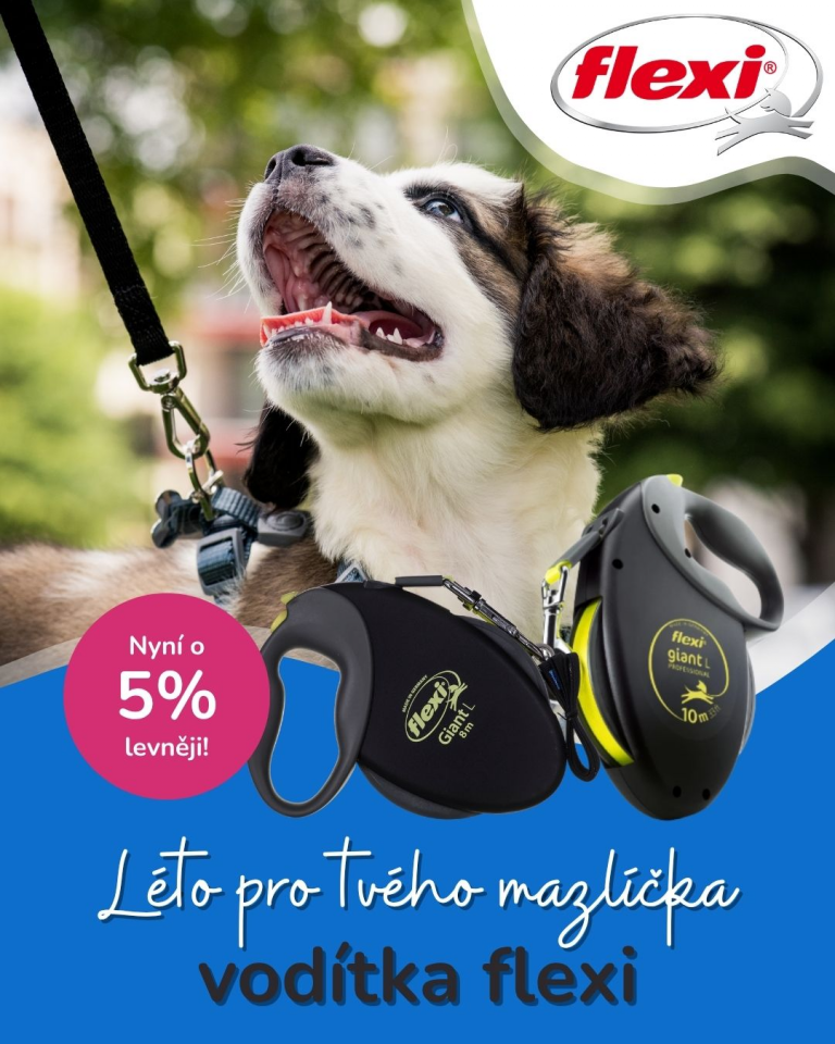 [OFERTA SPECJALNA] Lipiec