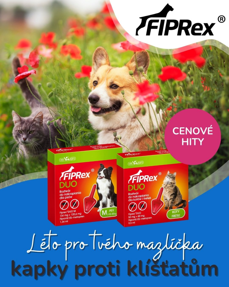 [OFERTA SPECJALNA] Lipiec